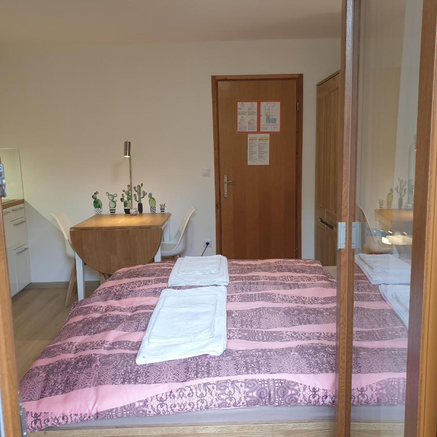 Apartmaji Pri Medvedu Studio Rudnica Bohinj Exterior foto